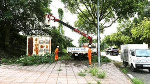 Việc bảo đảm nguồn điện liên tục cho các điểm được Công ty Điện lực Lào Cai đặt mức độ ưu tiên đặc biệt.