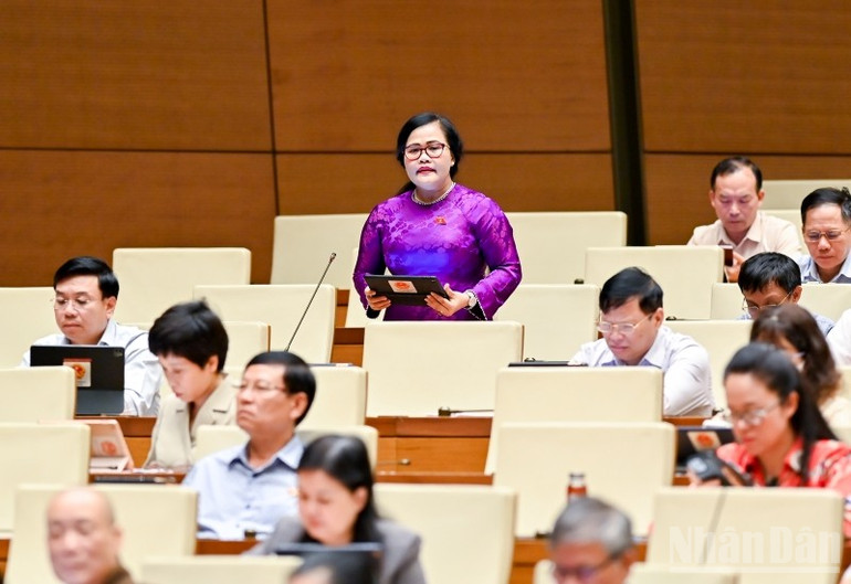 Đại biểu Nguyễn Thị Sửu (Huế) phát biểu. (Ảnh: DUY LINH) ndo_br_nguyen-thi-suu-hue.jpg