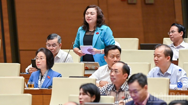 Đại biểu Đặng Bích Ngọc (Hòa Bình) chất vấn. (Ảnh: DUY LINH) ndo_br_dang-bich-ngoc-hoa-binh.jpg