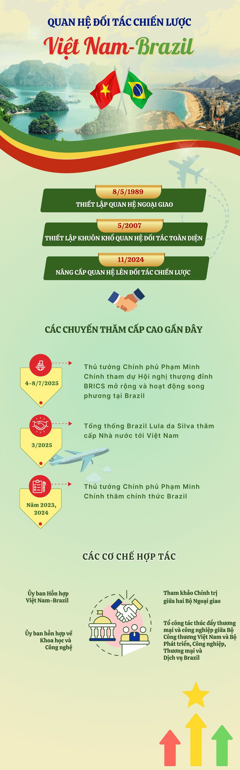 vn-infographics-2500-x-8000-px.png