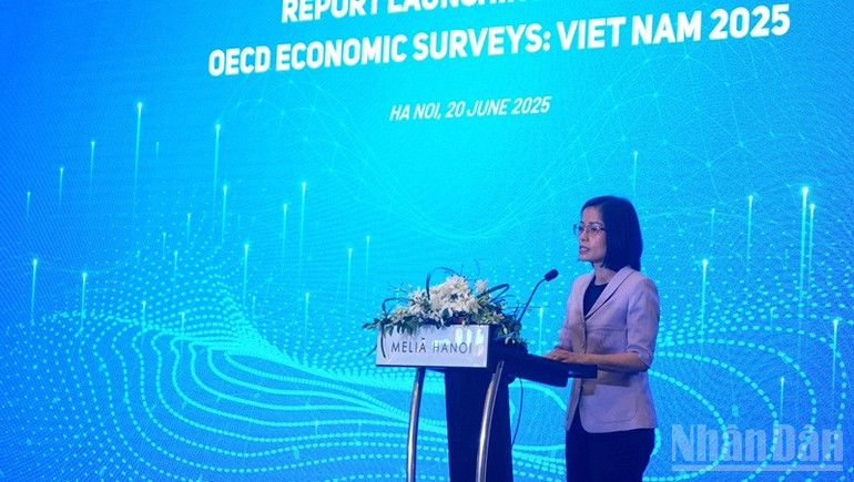 Bà Trần Bảo Ngọc, Vụ trưởng Vụ Ngoại giao kinh tế, Bộ Ngoại giao phát biểu. (Ảnh: TRUNG HƯNG) ndo_br_dsc02262.jpg