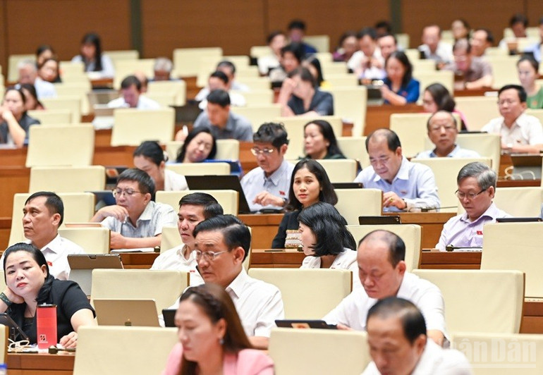 Các đại biểu Quốc hội tham dự phiên chất vấn. (Ảnh: DUY LINH) ndo_br_bnd-8337.jpg