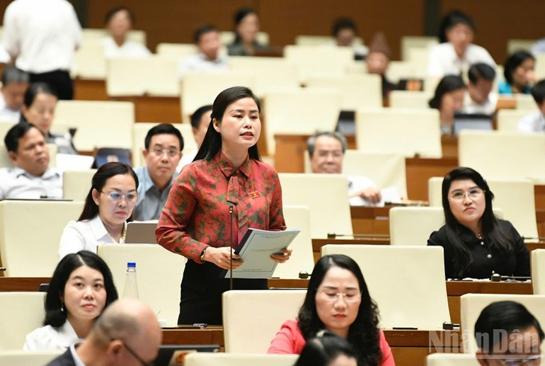 Đại biểu Đặng Thị Bảo Trinh (Quảng Nam). (Ảnh: DUY LINH) ndo_br_dang-thi-bao-trinh-quang-nam.jpg