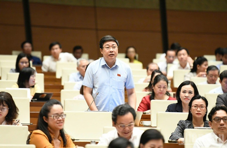 Đại biểu Mai Khanh (Ninh Bình) nêu câu hỏi chất vấn Phó Thủ tướng Thường trực Chính phủ Nguyễn Hòa Bình. (Ảnh: DUY LINH) ndo_br_mai-khang-ninh-binh.jpg