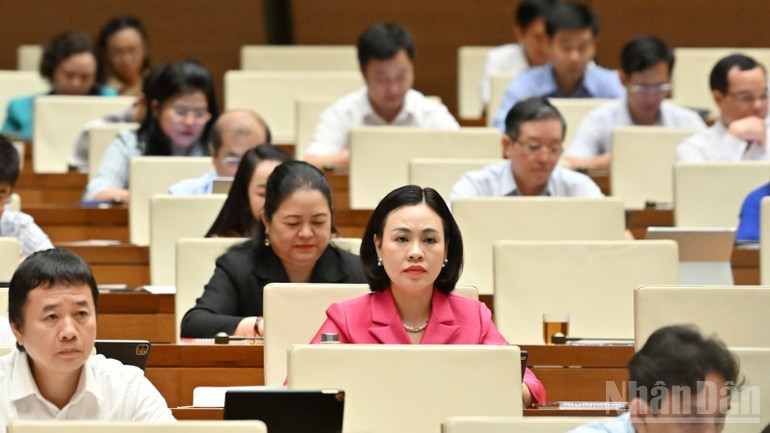 Các đại biểu Quốc hội tham dự phiên họp. (Ảnh: THỦY NGUYÊN) ndo_br_chi-1395-2741.jpg