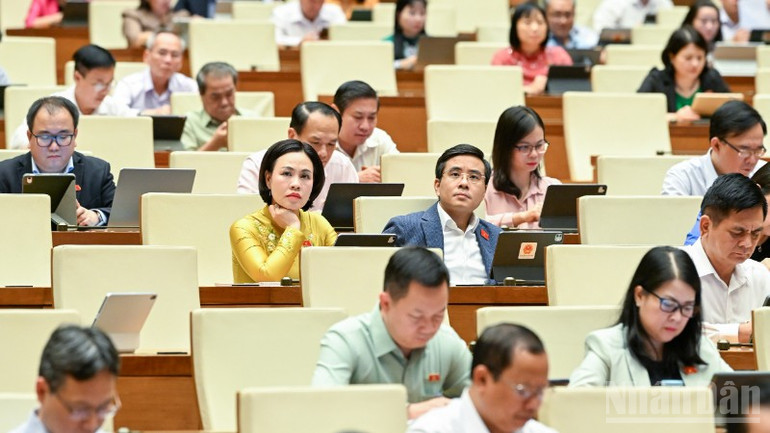 Đại biểu tham dự phiên họp. (Ảnh: DUY LINH) ndo_br_bnd-3235-7445.jpg