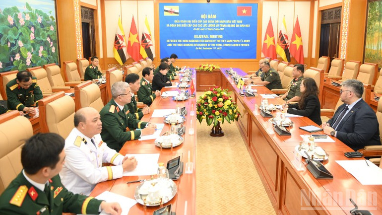 Đại tướng Nguyễn Tân Cương hội đàm với Tư lệnh Quân đội Hoàng gia Brunei Dato Paduka Seri Haji Muhammad Haszaimi Bin Bol Hassan. (Ảnh: THẾ ĐẠI) ndo_br_bqp-gap-bru-9919-1353.jpg