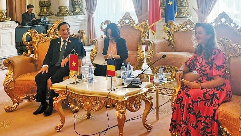 Phó Chủ tịch Quốc hội Nguyễn Khắc Định hội đàm với Phó Chủ tịch Hạ viện Romania Natalia Intotero. (Ảnh: THẾ CƯỜNG) pctqh-nguyen-khac-dinh3.jpg