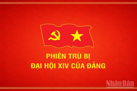 [Infographic] Phiên trù bị Đại hội Đại biểu toàn quốc lần thứ XIV của Đảng