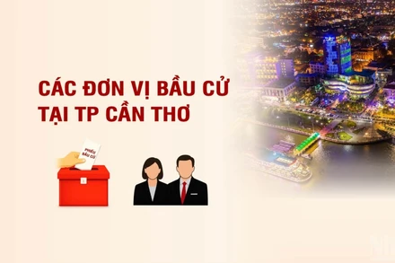 [Infographic] Các đơn vị bầu cử đại biểu Quốc hội tại thành phố Cần Thơ