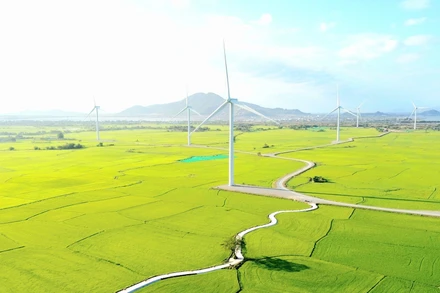 Cánh đồng điện gió Đầm Nại (Ninh Thuận). (Ảnh: Nguyễn Thành – TTXVN)