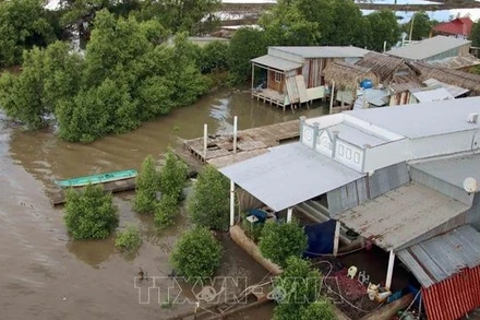 Ảnh minh họa: Những ngôi nhà ''thích ứng với biến đổi khí hậu'' ở vùng sông nước Cà Mau. (Ảnh: Kim Há - TTXVN)