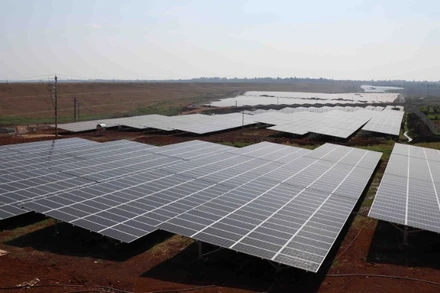 Ảnh minh họa. (Ảnh: Anh Dũng – TTXVN)