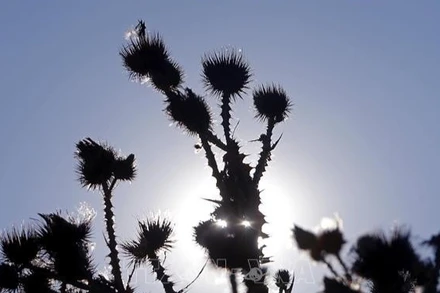 Ảnh minh họa: Nắng gắt khi nhiệt độ tăng cao ở Bucharest, Romania, ngày 18/7/2023. (Ảnh: THX/TTXVN)