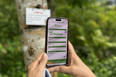 Khách du lịch tìm hiểu về những loài cây có lưu trữ carbon thông qua mã QR. (Ảnh: TTXVN)