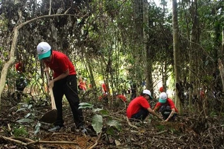 Trong ảnh: Các em học sinh và các tình nguyện viên tham gia trồng rừng tại Vườn quốc gia Bến En, tỉnh Thanh Hóa. (Ảnh: Trịnh Duy Hưng - TTXVN)