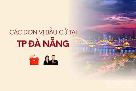[Infographic] Các đơn vị bầu cử đại biểu Quốc hội tại thành phố Đà Nẵng