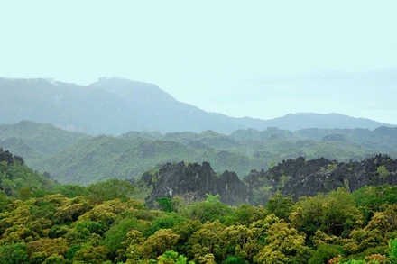 Còn nhiều khó khăn trong công tác quản lý, bảo vệ rừng. (Ảnh: HẠNH VÂN)