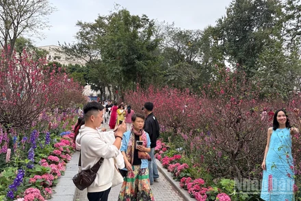 [Ảnh] Hồ Hoàn Kiếm tấp nập người chơi xuân, lưu giữ khoảnh khắc đầu năm