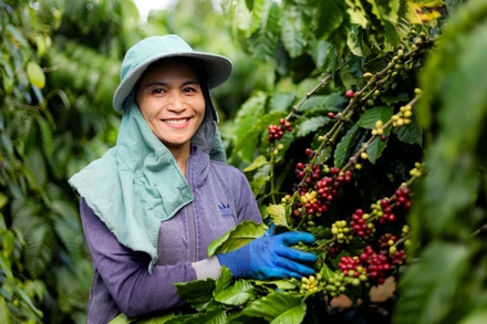 Kinh tế tuần hoàn là động lực chuyển đổi xanh 