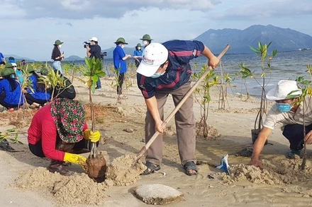 Các lực lượng tham gia trồng cây đước tại tỉnh Khánh Hòa. (Ảnh: VĨNH THÀNH)