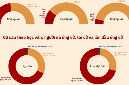 [Infographic] Cơ cấu theo danh sách chính thức những người ứng cử đại biểu Quốc hội khóa XVI