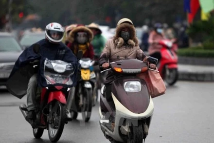 Ảnh minh họa: TTXVN