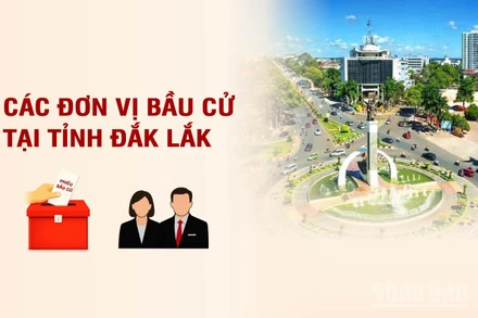 [Infographic] Các đơn vị bầu cử đại biểu Quốc hội tại tỉnh Đắk Lắk