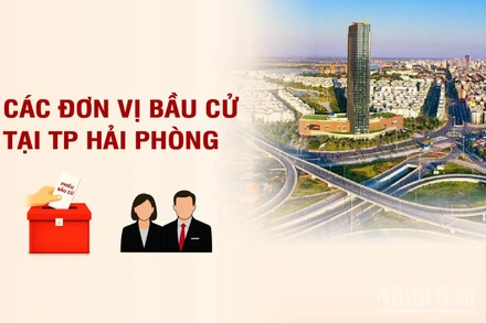 [Infographic] Các đơn vị bầu cử đại biểu Quốc hội tại thành phố Hải Phòng