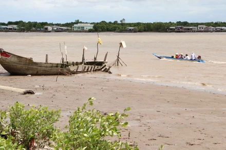 Ảnh minh họa: Một góc sông cửa lớn Năm Căn (Cà Mau). (Ảnh: Kim Há - TTXVN) 