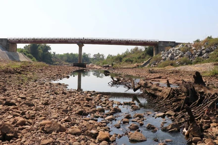 Ảnh chụp tháng 2/2019: Tình trạng khô cạn nguồn nước lan rộng trên địa bàn các huyện phía đông và đông nam tỉnh Gia Lai. (Ảnh: Hồng Điệp - TTXVN)