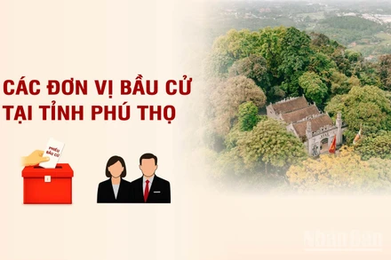 [Infographic] Các đơn vị bầu cử đại biểu Quốc hội tại tỉnh Phú Thọ