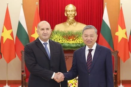 Tổng Bí thư Tô Lâm tiếp Tổng thống Cộng hòa Bulgaria Rumen Radev thăm chính thức Việt Nam, tại Trụ sở Trung ương Đảng, chiều 25/11/2024. (Ảnh: Thống Nhất/TTXVN)