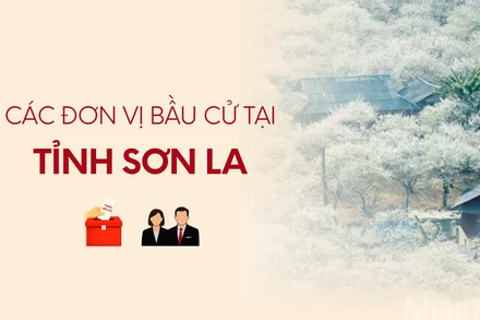 [Infographic] Các đơn vị bầu cử đại biểu Quốc hội tại tỉnh Sơn La