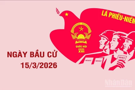 [Infographic] Thông tin cần biết về Ngày Bầu cử