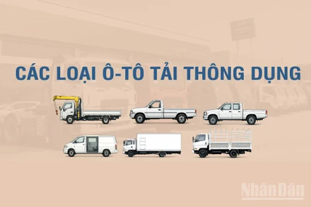 [Infographic] Các loại xe tải thông dụng theo Thông tư số 53/2024/TT-BGTVT 