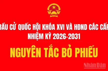 [Infographic] Nguyên tắc bỏ phiếu bầu đại biểu Quốc hội và Hội đồng nhân dân các cấp