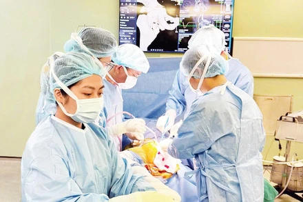 Từ ngày 1/1/2027, chức danh bác sĩ sẽ bắt đầu được đánh giá năng lực. (Ảnh: THẾ ANH)