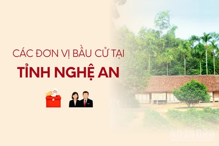 [Infographic] Các đơn vị bầu cử đại biểu Quốc hội tại tỉnh Nghệ An
