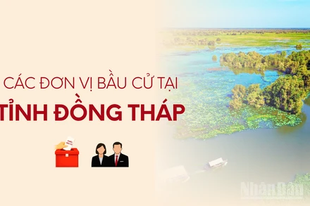[Infographic] Các đơn vị bầu cử đại biểu Quốc hội tại tỉnh Đồng Tháp