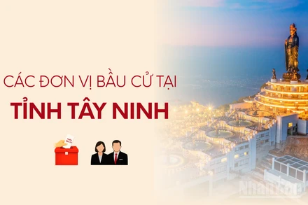 [Infographic] Các đơn vị bầu cử đại biểu Quốc hội tại tỉnh Tây Ninh