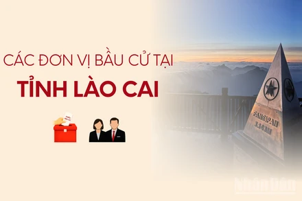 [Infographic] Các đơn vị bầu cử đại biểu Quốc hội tại tỉnh Lào Cai