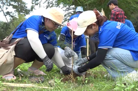 Cộng đồng chung tay trồng cây, góp phần tạo nên những "lá chắn xanh" cho vùng đất ven biển. (Ảnh: LIÊN HÂN)