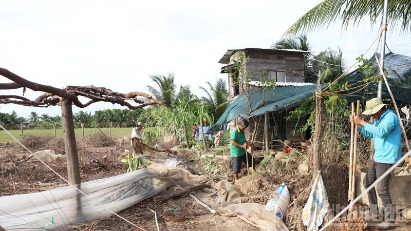 Ông Trịnh Minh Trung, thôn Ninh Quý 3, xã Phước Hậu (Khánh Hòa) thuê 3 công đến dọn lại vườn tược sau mưa lũ. (Ảnh: NGUYỄN TRUNG)