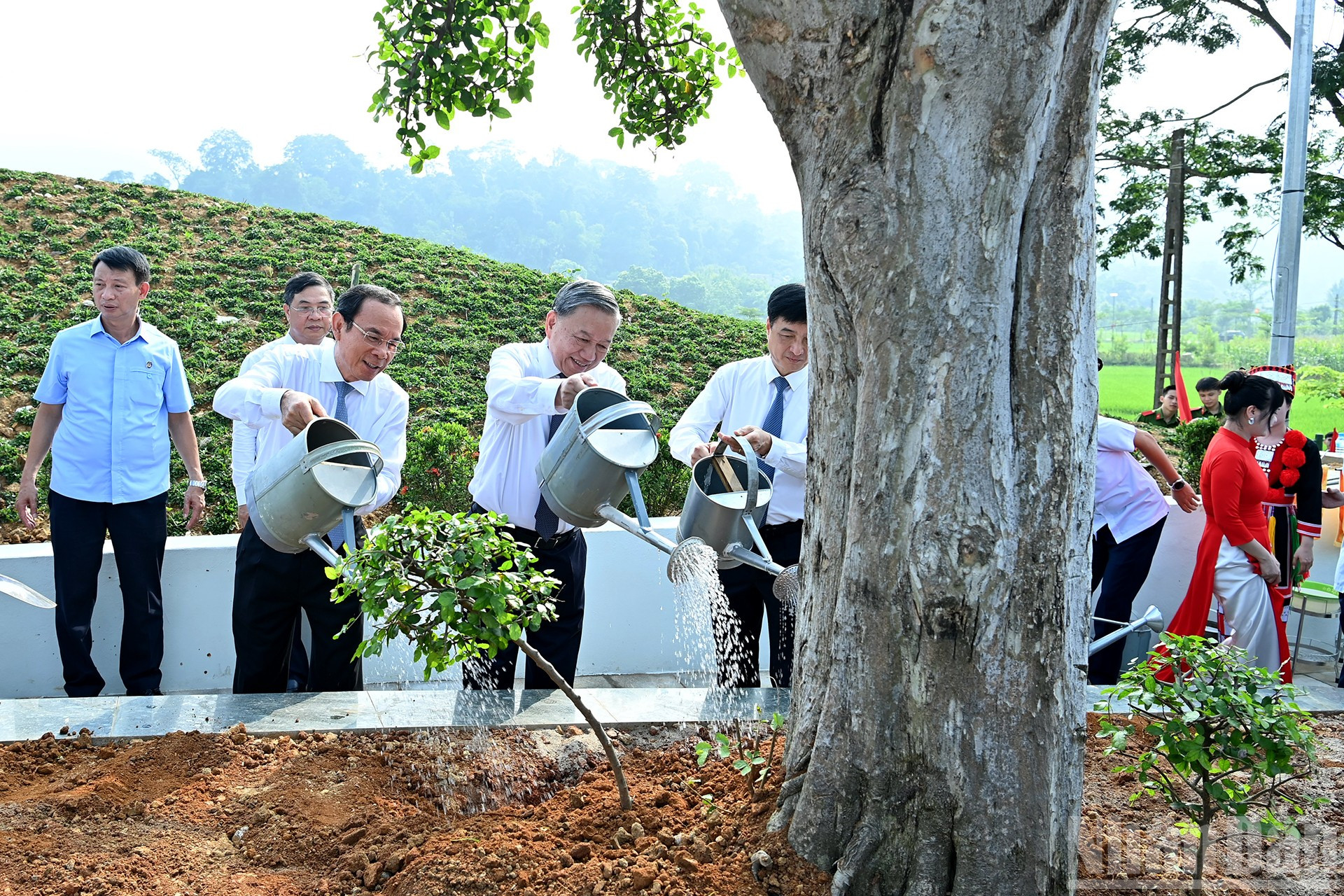 Tổng Bí thư Tô Lâm trồng cây lưu niệm trong khuôn viên Tượng đài “Bác Hồ ở Tân Trào”. ndo_br_a8-bnd-1570.jpg