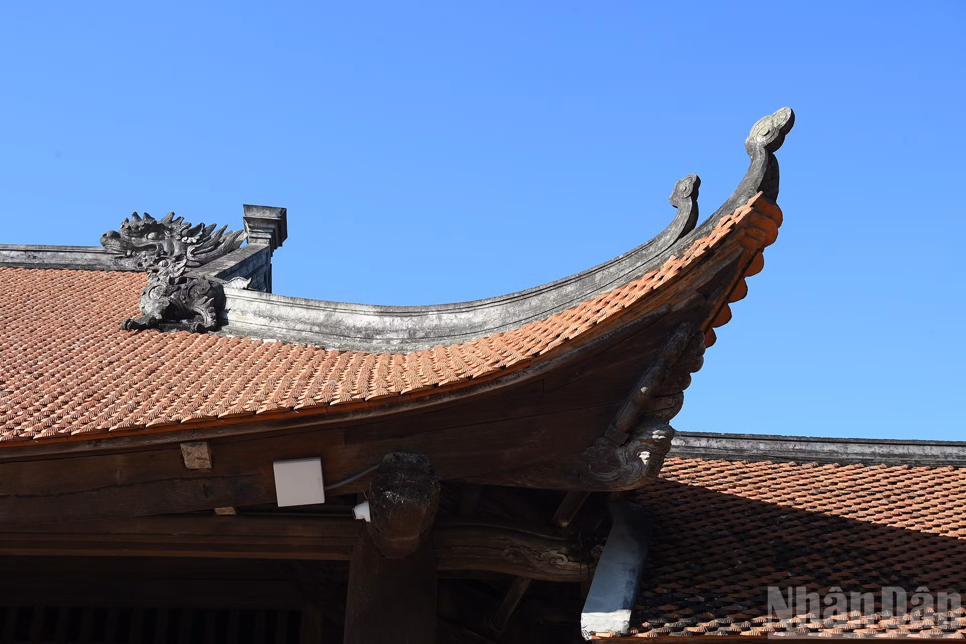 ndo_br_a6-bnd-8425.jpg