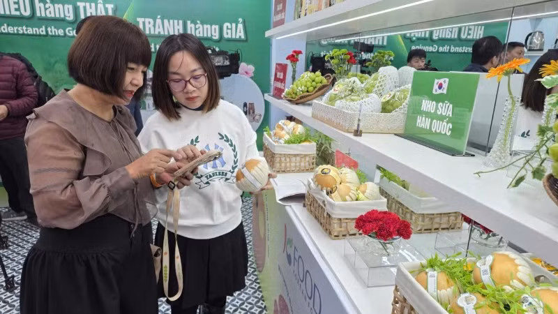 Chuyên viên của Cục Quản lý và Phát triển thị trường trong nước hướng dẫn khách tham quan nhận diện sản phẩm quả lê Hàn Quốc.