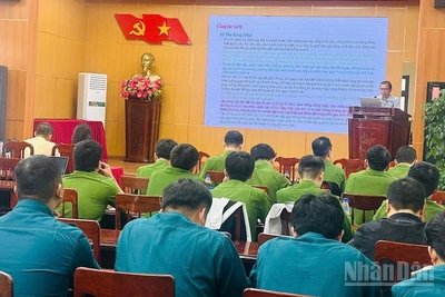 Tỉnh Quảng Ngãi triển khai các biện pháp bảo đảm an toàn giao thông dịp Tết sắp đến.