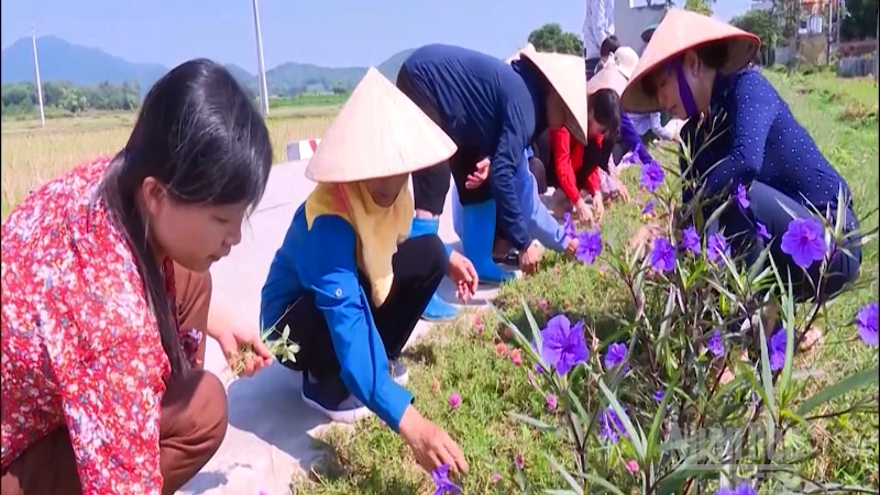 Hà Nội đẩy mạnh phong trào 'Sáng - Xanh - Sạch - Đẹp' để xây dựng đô thị văn minh