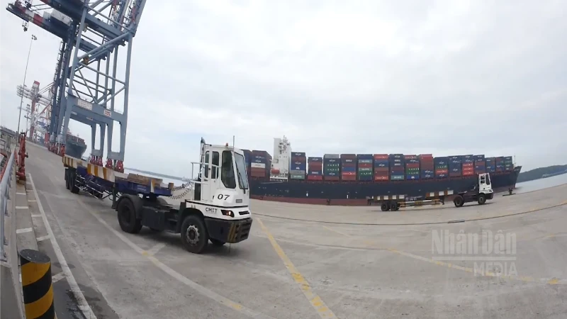 TP HCM xây dựng cảng trung chuyển dòng vốn cho kinh tế biển